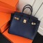 Hermes Birkin 25cm Bag Navy Blue in Togo Leather With Gold Hardware