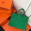 Hermes Birkin 25cm Bag Bamboo Green in Togo Leather With Gold Hardware
