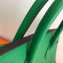 Hermes Birkin 25cm Bag Bamboo Green in Togo Leather With Gold Hardware