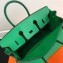 Hermes Birkin 25cm Bag Bamboo Green in Togo Leather With Gold Hardware