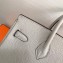 Hermes Birkin 25cm Bag Pearl Gray in Togo Leather With Gold Hardware