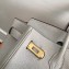 Hermes Birkin 25cm Bag Pearl Gray in Togo Leather With Gold Hardware