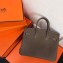 Hermes Birkin 25cm Bag Etoupe in Togo Leather With Gold Hardware