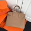 Hermes Birkin 25cm Bag Apricot in Togo Leather With Gold Hardware
