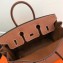 Hermes Birkin 25cm Bag Brown in Togo Leather With Gold Hardware