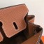 Hermes Birkin 25cm Bag Brown in Togo Leather With Gold Hardware