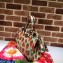 Gucci Zumi Strawberry Print Leather Small Top Handle Bag 569712 2019