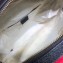 Gucci GG Velvet Small Backpack Bag 574942 Red