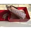 Valentino Rockstud Spike Vertical Phone Bag 0124 Apricot 2019
