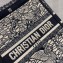 Dior Vertical Book Tote Bag Tarot Embroidered Canvas 2020
