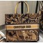 Dior Book Tote Bag Animals Embroidered Canvas Orange 2020