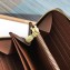 Louis Vuitton Zippy Wallet Monogram Canvas M42616 Brown