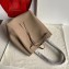 Celine Small Cabas Phantom Bag in Grained Calfskin Apricot