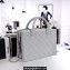 Chanel Calfskin Vanity Case Bag AS3345 Light Gray 2022