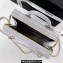 Chanel Calfskin Vanity Case Bag AS3345 Light Gray 2022
