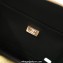Chanel Calfskin Vanity Case Bag AS3345 Black 2022