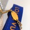 Louis Vuitton Louise Long Necklace M64281
