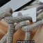 Aquazzura Heel 5.5cm Crystal Straps Moondust Sandals Nude 2022