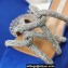 Aquazzura Heel 5.5cm Crystal Straps Moondust Sandals Blue 2022