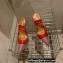 Aquazzura Heel 8.5cm PVC Nights Pumps Red 2022