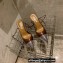 Aquazzura Heel 8.5cm PVC Nights Pumps Coffee 2022