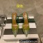 Aquazzura Heel 8.5cm PVC Nights Pumps Green 2022