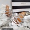 Aquazzura Crystal Straps Moondust Flats Silver 2022